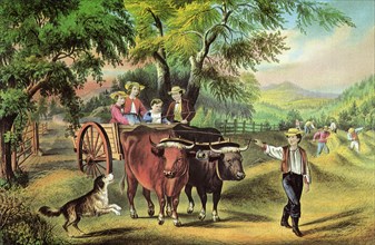 Oxen, Cart and Family.