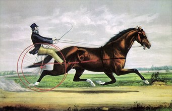 Racing Horse and Driver.