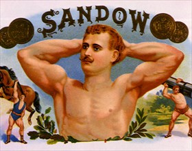 Sandow.