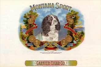 Montana Sport.
