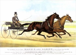 Celebrated Trotting Mares Maud S. and Aldine driven.