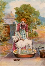 Woman gives Dog a Bath.