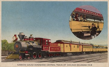 Narrow-Gauge Deadwood Centrail Train.