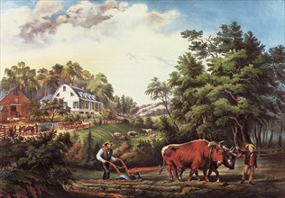 American Farm Scenes.