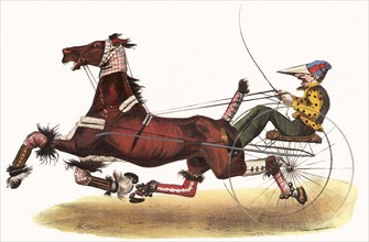 'A Crack Trotter' in the Harness of the Period.