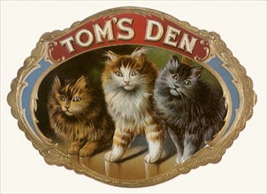 Tom's Den Cigar Label with Cats.