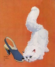 White Cat eyes Shoe.