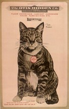 Ad for Otis Hidden Company with Cat.