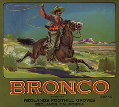 Bronco Cowboy with Lasso on horseback.