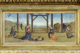 Corciano (Italy, Umbria, province of Perugia), Church of Santa Maria Assunta. Perugino, Assumption of the Virgin, painting on wood. Predella, Nativity