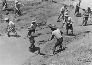 un groupe d'hommes chargés de travaux de mise en valeur des terres, 1915-1940