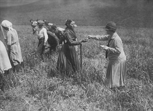 dans une image du service photo du gouvernorat de rome la distribution de médicaments antipaludiques à la population rurale de l'agro pontino 1915-40