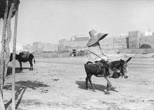 tunisia, sfax, big hat and small donkey, 1910
