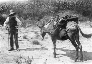 greece, arcadia, man with donkey, 1912