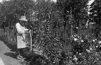 gardener, 1930-1940