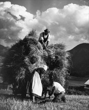 agriculture, 1920-1930