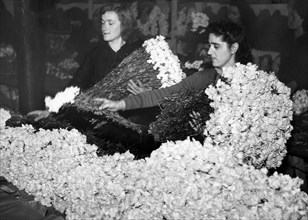 italy, liguria, sanremo, market of flowers, 1949
