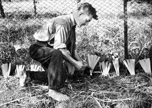 farmer, 1946
