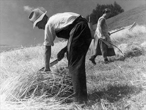 agriculture, 1940-1950