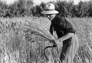 farmer, 1930-1940