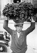 italy, grape harvest, 1930-40