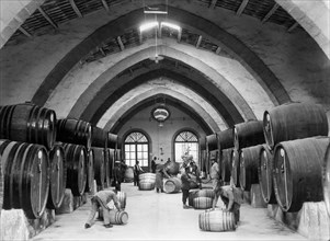 italy, wine industry