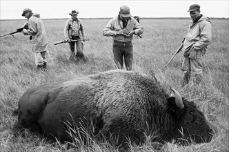 usa, canada, buffalo, hunters, 1961
