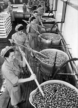food industry, 1940-1950