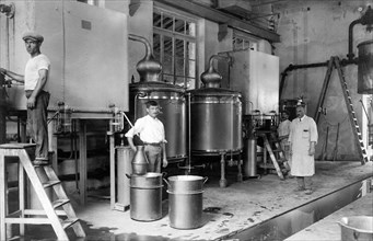 industry of vallecrosia, industry of perfumes, 1910-1920