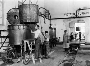 industry of vallecrosia, industry of parfumes, 1910-1920