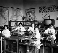 primary school, 1964