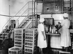 food industry, 1930-1940