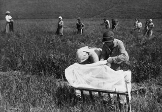 lotta alla malaria, lattante protetto dall'insidia delle zanzare in un campo di grano, luglio 1926