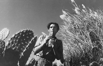 berger, joueur de flûte, 1949