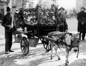 vieux métiers, vendeurs d'eau sulfureuse et de citron avec chariot, 1947-1950