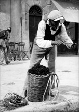 vieux métiers, vendeur de hérissons à palerme, 1920-1930