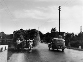 strada lombarda, trafic mixte, 1960