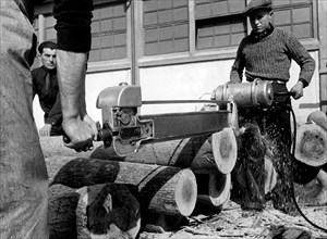Ouvriers coupant du bois de peuplier, 1956