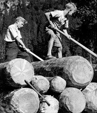 ouvriers empilant des bois, 1950