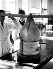 le caillé de gorgonzola est mis dans la fascera, 1965