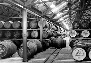 entrepôt de barils de chêne, 1967