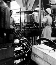 ouvriers à la machine de mise en conserve des pois de rica, 1967
