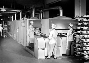 four à panettone électrique continu, 1951