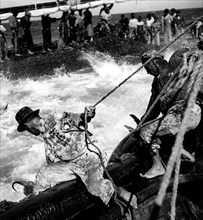 pêche au thon au portugal,, 1965