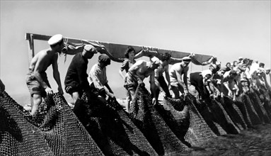 pêche au thon avec filet en coco en sicile, 1951