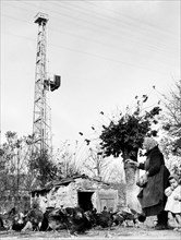 plate-forme de forage agip à imola et agriculteur au premier plan, 1954