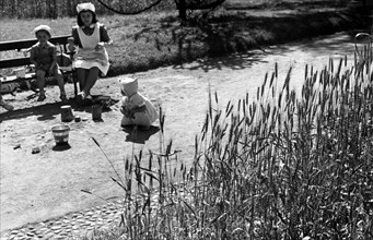 enfants et blé mûr dans des jardins transformés en jardins de guerre, 1942