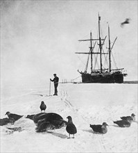 roald amudsen au pôle sud, 1911