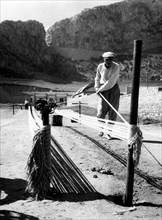 cordiste dans la province de palerme, 1961