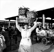 marché aux légumes, 1960
